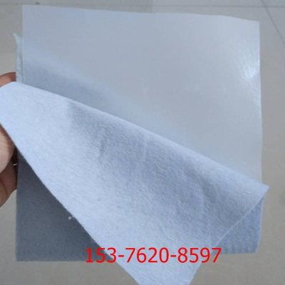 大安復(fù)合土工布 實業(yè)集團(tuán) 致力于土工布行業(yè)的創(chuàng)新與卓越