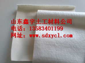 土工布 垃圾填埋場(chǎng)的防滲衛(wèi)士與建材加工的關(guān)鍵角色