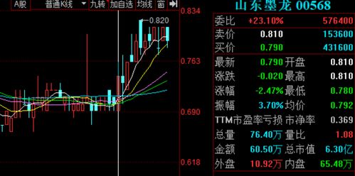 山東墨龍控制權 一女兩嫁 ,公告還說謊