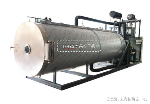 水果凍干機生產線交付貴州用戶投產使用